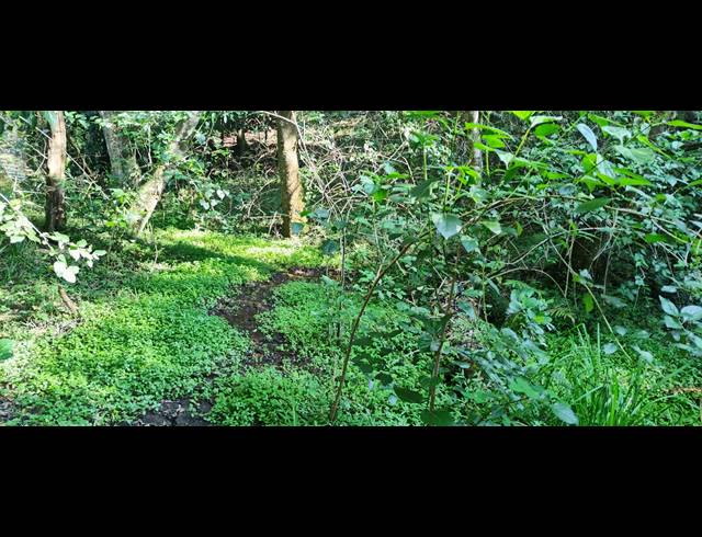 46HA FARM SOLD IN NELSPRUIT RURAL